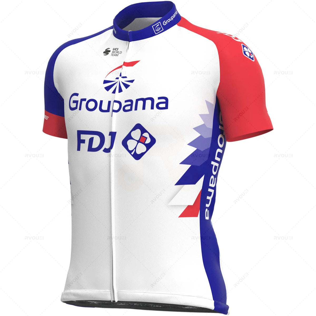 FDJ Team Short Sleeve Set